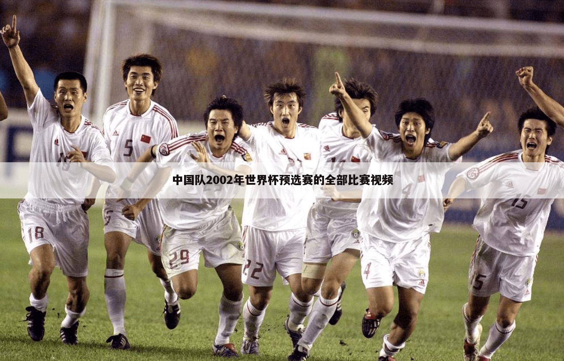 中国队2002年世界杯预选赛的全部比赛视频