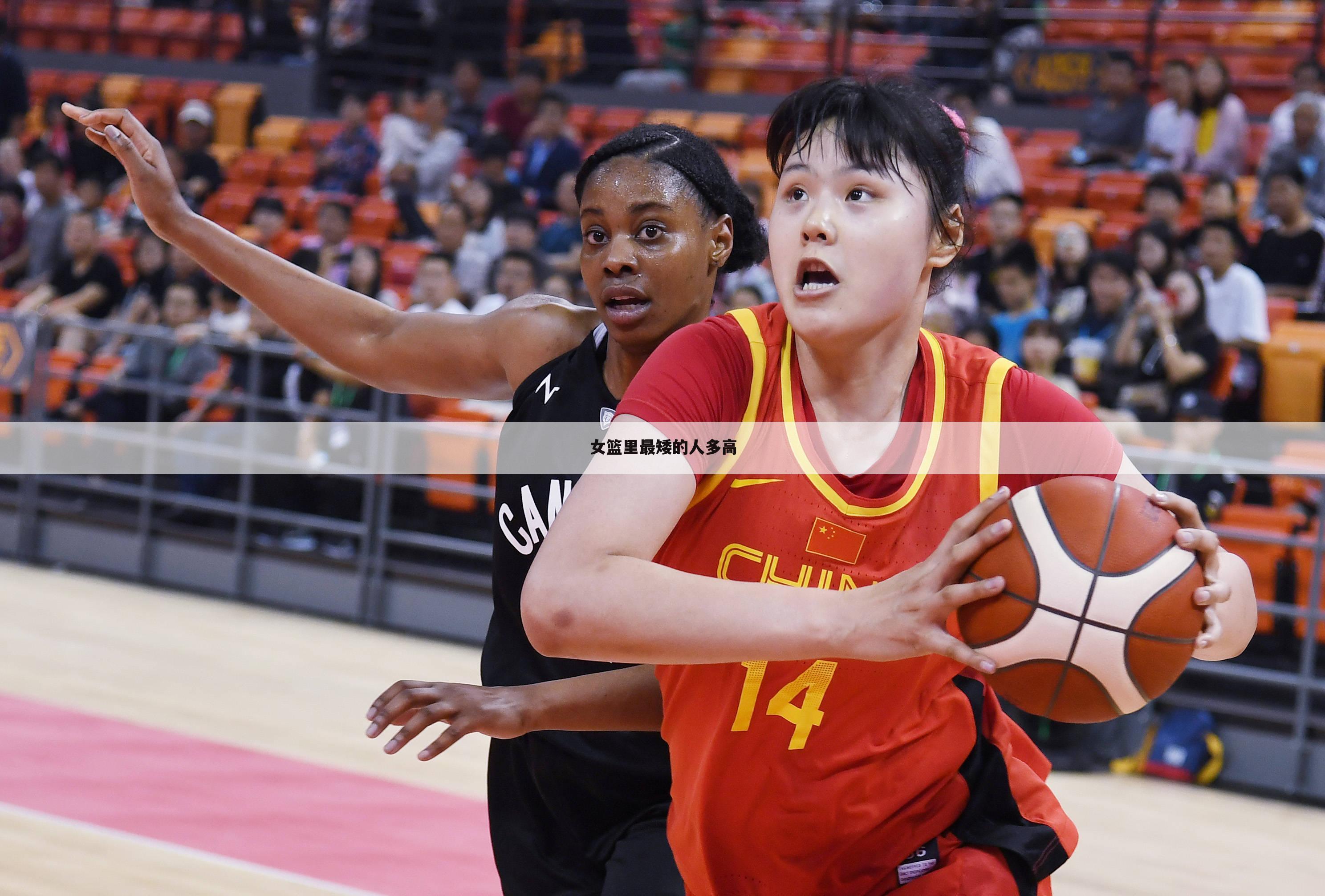 【中国女篮热身赛】中国女篮身高一览表