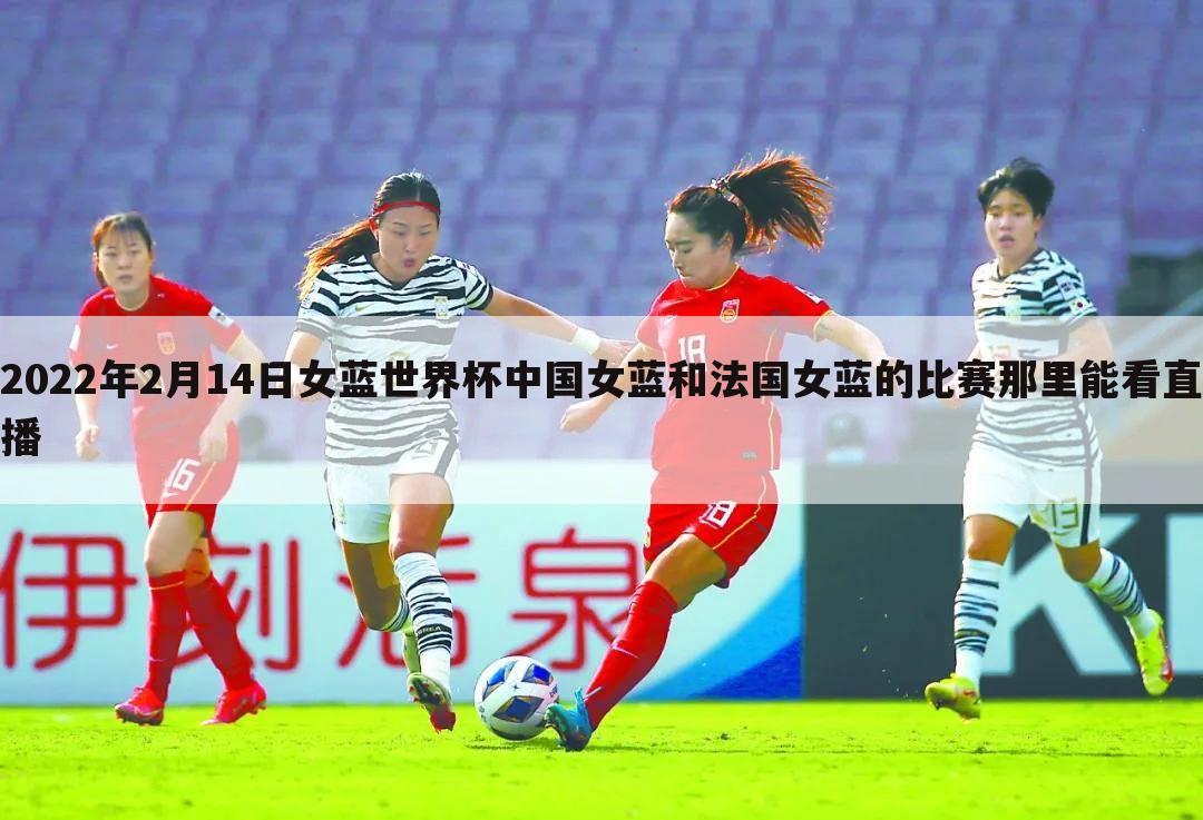 2022年2月14日女蓝世界杯中国女蓝和法国女蓝的比赛那里能看直播
