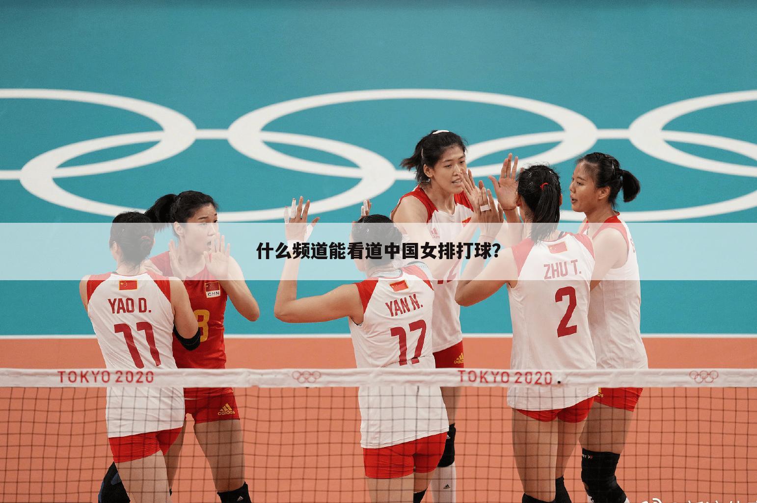 什么频道能看道中国女排打球？