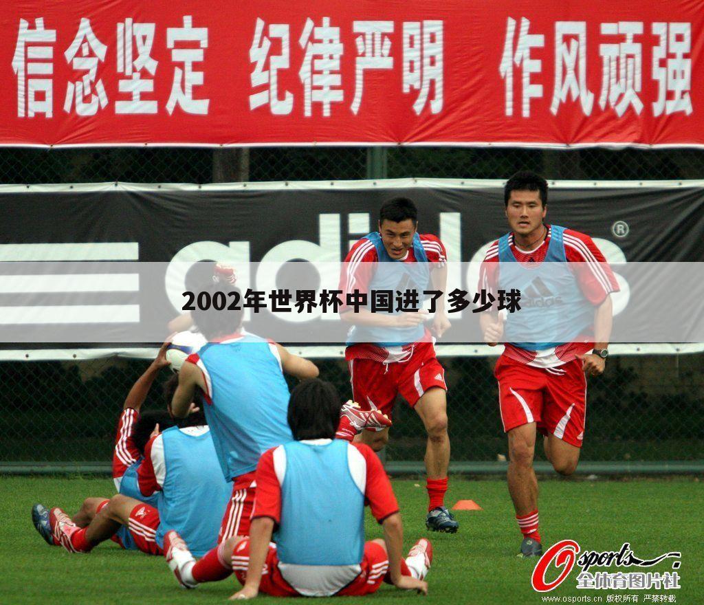 【2002世界杯中国队战绩】2002年世界杯亚洲区中国队战绩