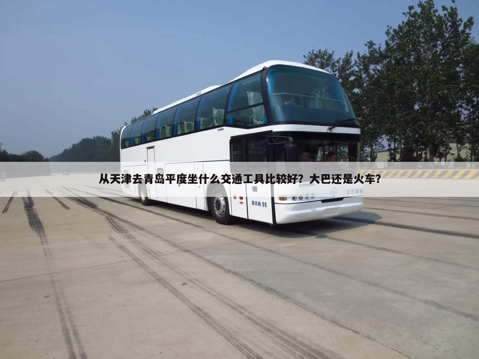从天津去青岛平度坐什么交通工具比较好？大巴还是火车？