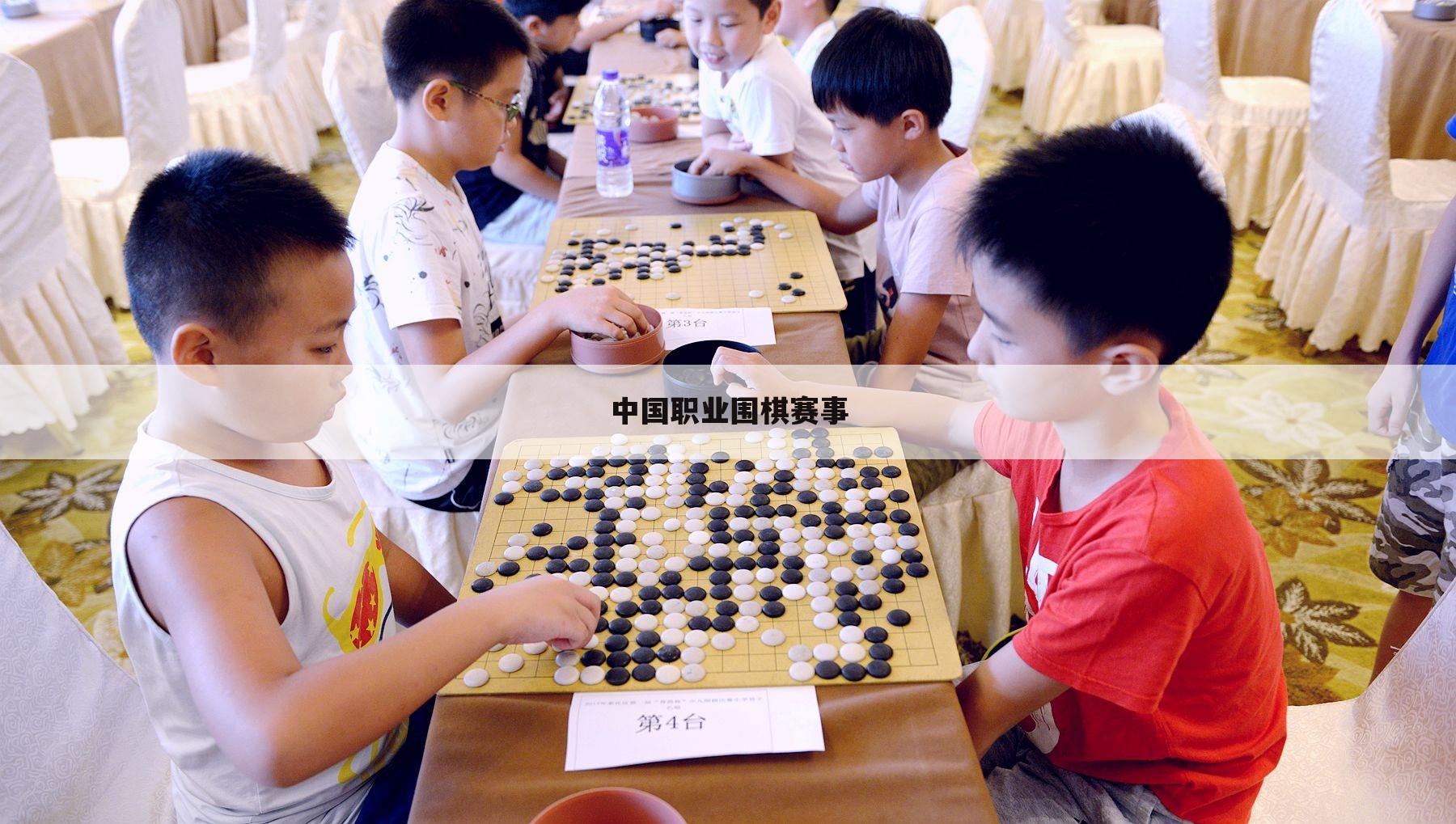 中国职业围棋赛事