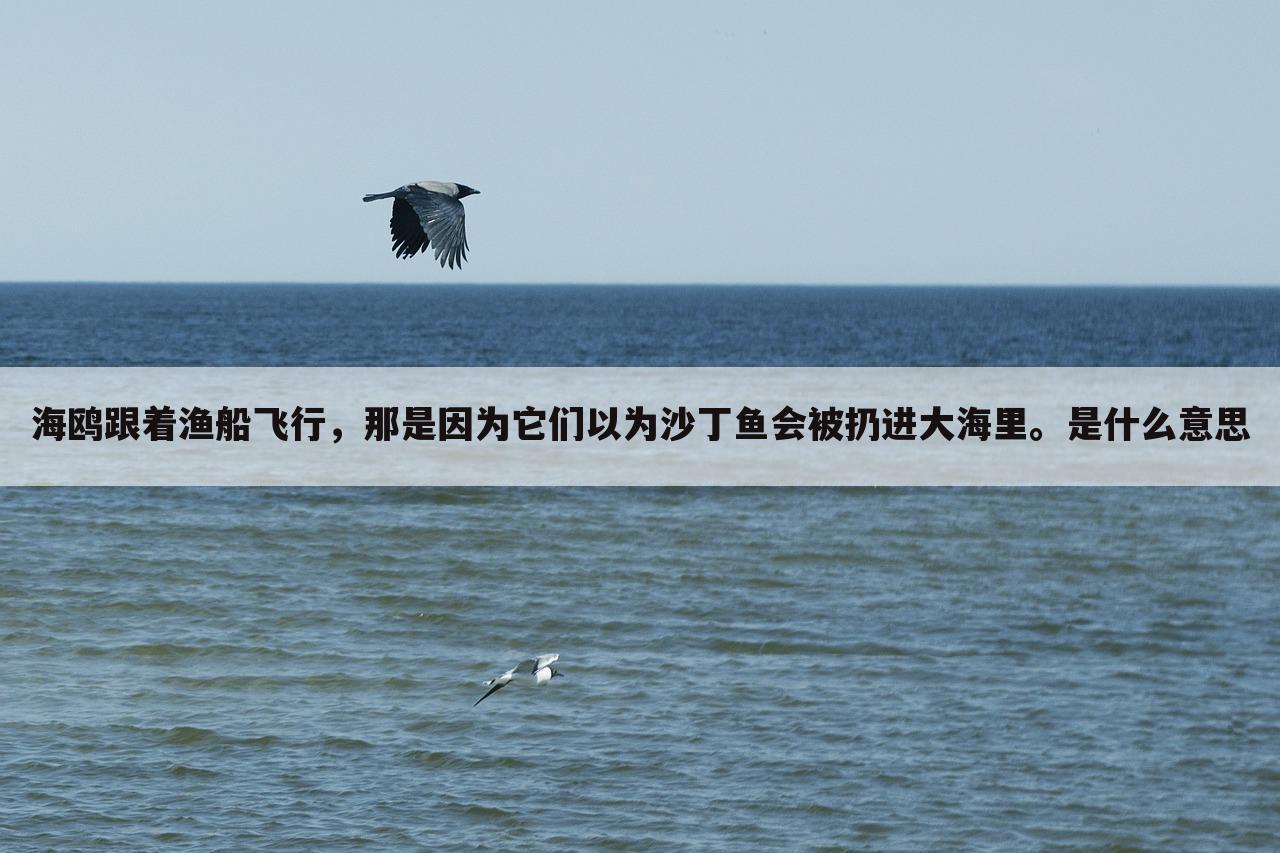 海鸥跟着渔船飞行，那是因为它们以为沙丁鱼会被扔进大海里。是什么意思