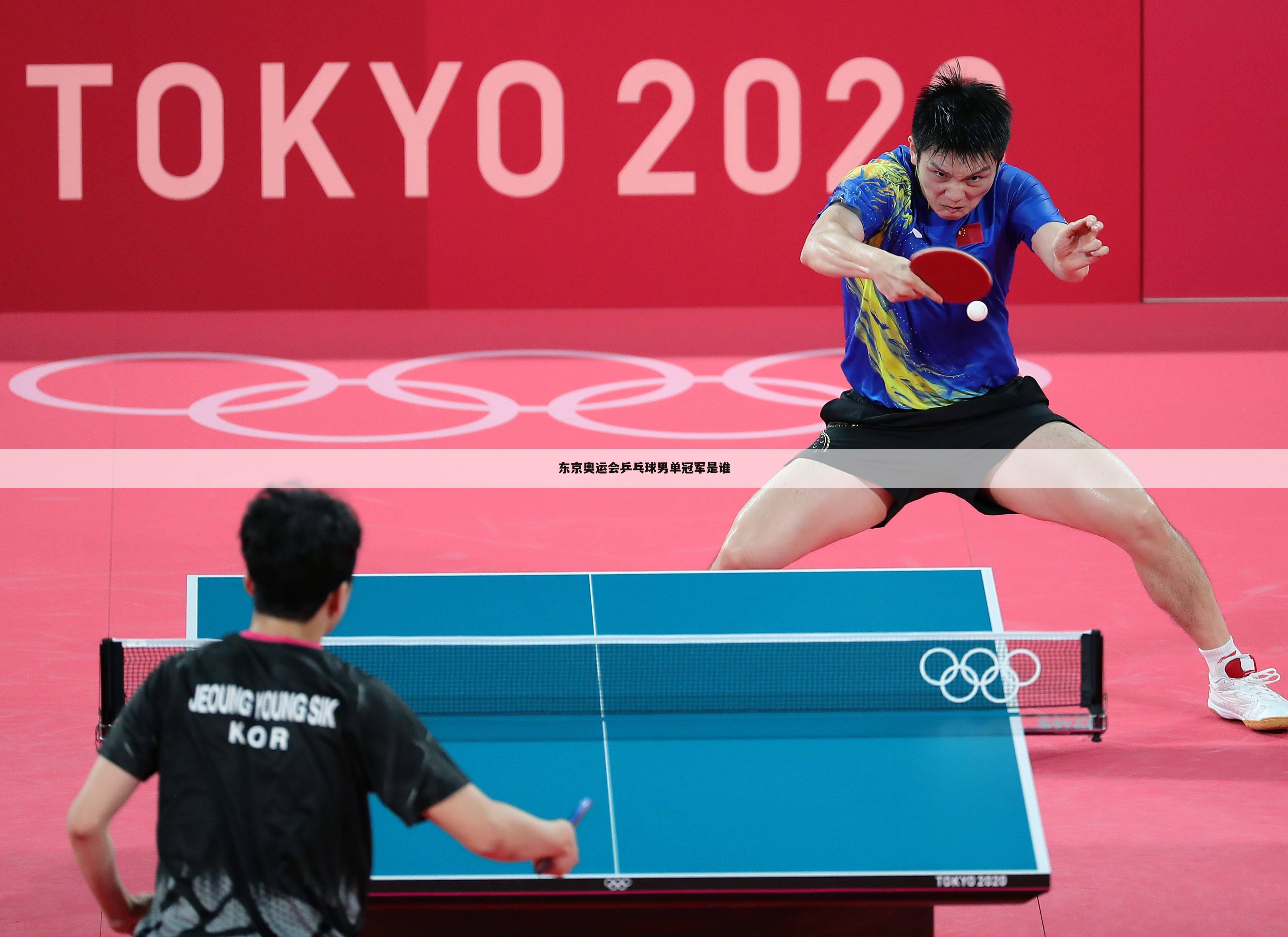 东京奥运会乒乓球男单冠军是谁