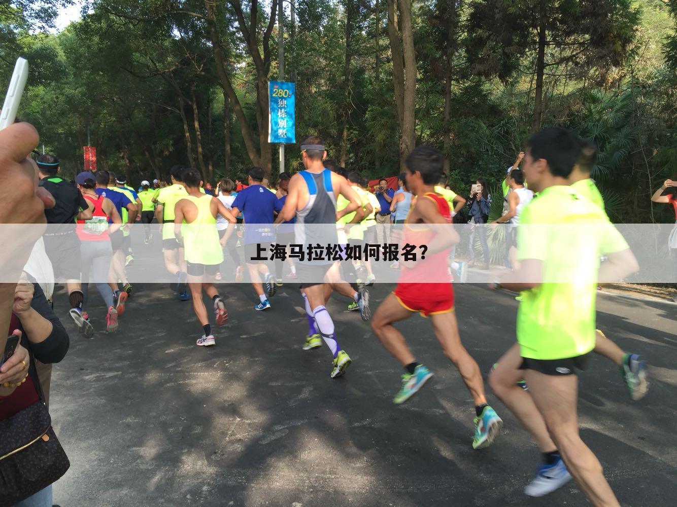 〔2014上海马拉松〕2014年上海马拉松