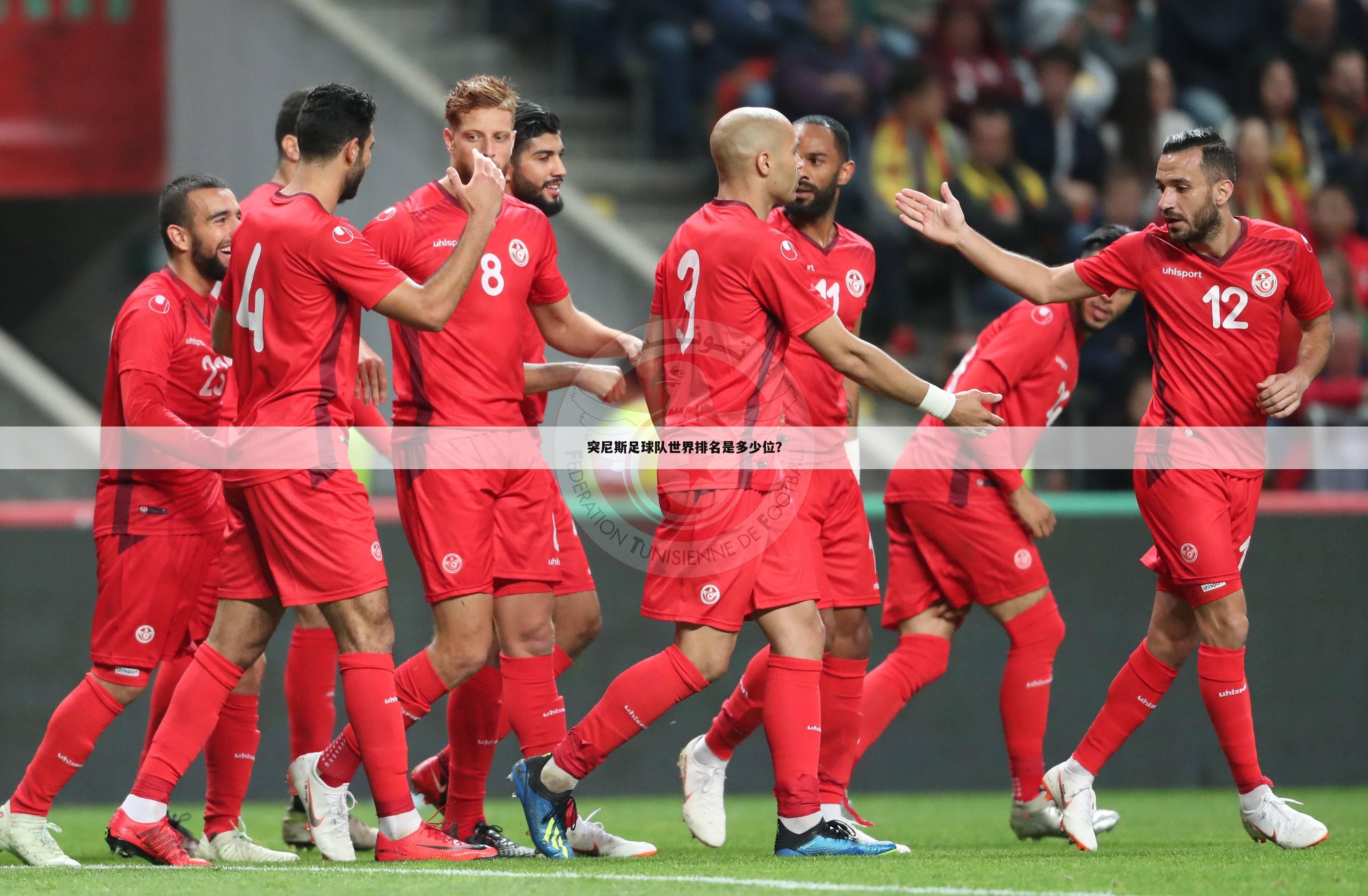 突尼斯足球队世界排名是多少位？