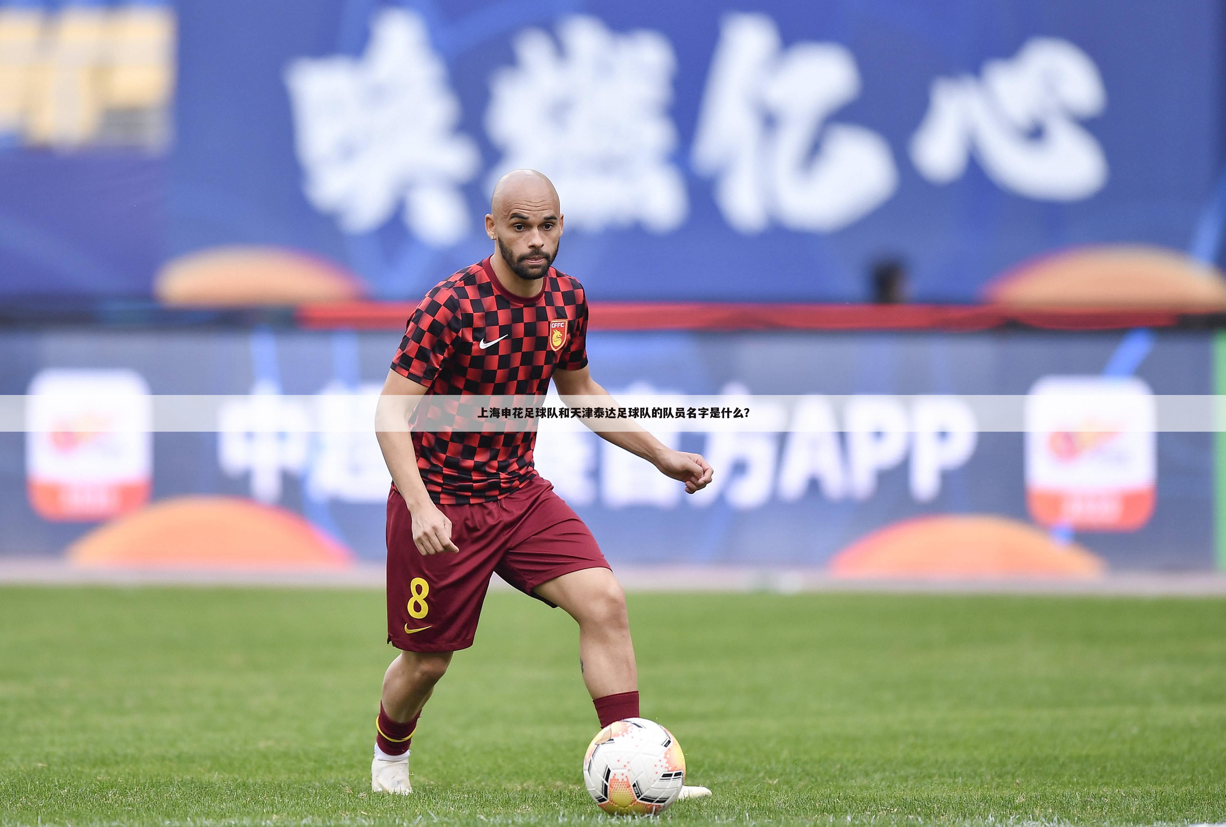 上海申花足球队和天津泰达足球队的队员名字是什么？