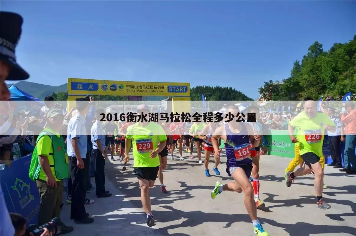 【衡水湖国际马拉松赛】衡水湖国际马拉松赛路线